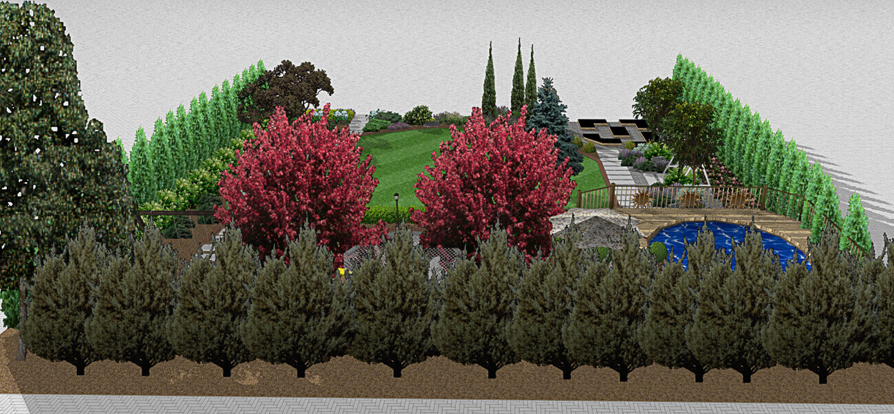 project 02 01
